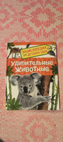 Удивительные животные. Энциклопедия для детского сада | Клюшник Л. В. #7, Назифа Х.