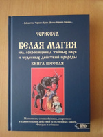 Белая магия иль сокровищница тайных наук и чудесных действий природы. книга 6 #2, Илья П.