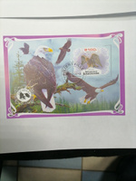 Набор марок #67 птицы Попугаи и Совы 12 блоков #8, Сергей С.