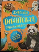 Животные. Гигантская энциклопедия | Никишин А. А. #3, Алена К.