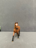 Фигурка "Ганноверская кобыла" Schleich Horse Club/ для детей от 5 лет/ Шляйх 13817 #47, Саша П.