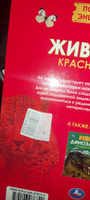 Энциклопедия для детей Животные Красной книги Умка | Козырь Анна #13, Валентина К.