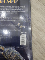 Животный мир. Иллюстрированный атлас | Бамбардения Чана, Вудрафф Дейвид #7, Ольга Б.