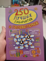 250 лучших лабиринтов и головоломок | Попова Ирина Мечеславовна #4, Олеся П.