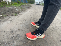 Кроссовки adidas Terrex Soulstride #28, илья в.