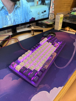 Игровая клавиатура Red Square Keyrox TKL Hyperion (RSQ-20039) G3ms Sapphire Switch белый/фиолетовый Русская раскладка USB #76, Дмитрий Б.