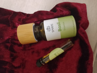 Эфирное масло Базилик метилхавикольный 10 мл (Ocimum basilicum) натуральное для ароматерапии, массажа, тела, волос, кожи, натуральной парфюмерии. Арома масло терапевтического класса, Индонезия #57, Марина
