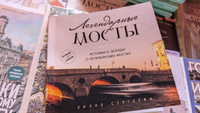 Легендарные мосты. Истории и легенды о петербургских мостах. Карманный формат #4, Ирина