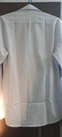Ручной отпариватель для одежды STINGRAY ST-ST344A белый/лиловый #7, Арина Т.