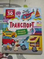 Книга с окошками для малышей. Более 30 окошек | Котятова Наталья Игоревна #4, Анжела С.