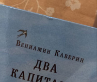 Два капитана в иллюстрация Петра Любаева. Вениамин Каверин. Комплект в двух книгах. Иллюстрированная классика | Каверин Вениамин #6, Skorikov D.