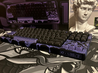 Игровая клавиатура Дарк Проджект x Akko 5087 G3ms Sapphire (DP-KD-5087-GSP) #8, Дарья П.