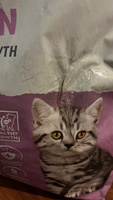 Корм Brit Care Superpremium Kitten Healthy Growth Turkey (низкозерновой) для котят, беременных и кормящих кошек, здоровый рост, c индейкой, 7 кг #2, Виктория Е.