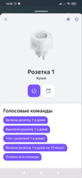 Умная беспроводная Wi-Fi розетка, голосовое управление Yandex Алиса, таймер, 20А, с отслеживанием энергопотребления #24, Юрий К.