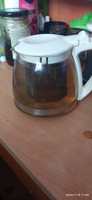 Травяной чай WellFoods для похудения /сбор крымский фиточай с натуральными травами и шиповником, полезный, рассыпной, диетический, для заваривания, 100 г #2, Роза Р.