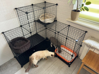 Клетка для собаки, кошки PetPaw вольер для животных, 6 блоков черный #62, Siarhei K.
