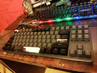 Игровая клавиатура Red Square Keyrox TKL Equinox (RSQ-20035) G3ms Amber Switch черный/белый/серый Русская раскладка USB #102, Максим К.