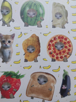 Набор наклеек 19 шт с мемом Кот-банан // стикеры наклейки котики для ежедневника #4, Дарья М.