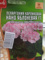 Пеларгония карликовая Нано Яблоневая F1, 1 пакет, семена 3 шт, ЧК #72, Светлана Б.