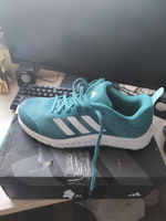 Кроссовки adidas Everyset Trainer W #19, Зинаида П.