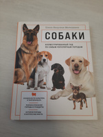 Собаки. Иллюстрированный гид по самым популярным породам | Яворская-Милешкина Елена Валерьевна #6, Михаил Б.