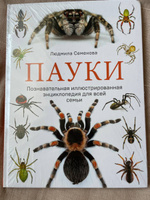 Пауки. Познавательная иллюстрированная энциклопедия для всей семьи | Семенова Людмила Семеновна #7, Марина С.