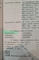 К пятерке шаг за шагом, или 50 занятий с репетитором. Русский язык. 5 класс. | Ахременкова Людмила Анатольевна #1, Наталья К.