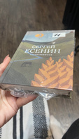 Стихотворения | Есенин Сергей Александрович #4, Катерина Б.