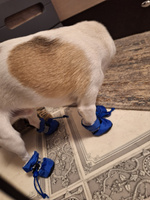 Обувь для собак, для кошек, сапоги для животных, синего цвета, размер 2, ботинки для собак #7, Ирена Я.