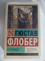 Саламбо | Флобер Гюстав #1, Ева Ф.