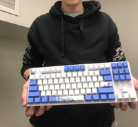 Игровая клавиатура Red Square Keyrox TKL Aquarius (RSQ-20036) G3ms Amber Switch белый/голубой Русская раскладка USB #98, Александр Г.