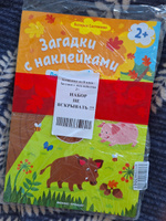 Комплект из 8 книг. Загадки с наклейками 2+ | Салтанова Валерия Анатольевна #3, Анастасия М.