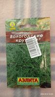 Семена Укроп Вологодские кружева #46, Дроздова Светлана Николаевна