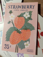 Постер бабочки, цветы, ягодки карточки #35, Аполлинария С.