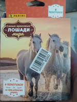 PANINI / Наклейки Панини HORSES/ ЛОШАДИ набор 6 пакетиков #1, Ксения Д.