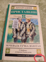 Ночевала тучка золотая | Приставкин Анатолий Игнатьевич #17, Альбина С.