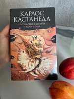 Путешествие в Икстлан. Сказки о силе | Кастанеда Карлос Сезар Арана #5, Никита Л.