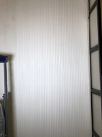 Краска фасадная Svetofor F25, Белая, матовая, акриловая, без запаха (3 кг) #130, Екатерина С.