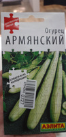 ОГУРЕЦ АРМЯНСКИЙ. Семена. Вес 10 шт. Экзотическая культура, часто именуемая огуречной дыней. #50, Лариса К.