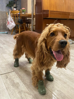 Ботинки-сабо для собак и кошек сандалии Arnydog, кроксы милитари, M (7,6 см) #5, Полина К.