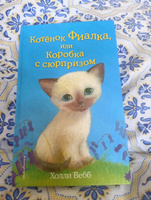 Котёнок Фиалка, или Коробка с сюрпризом (выпуск 9) / Sky the Unwanted Kitten. | Вебб Холли #6, Ксения П.