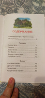 Барсучий нос. Рассказы и сказки. Внеклассное чтение | Паустовский Константин Георгиевич #4, Татьяна С.