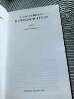 В ожидании Годо #4, Виктория Сокольских 