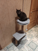 Домик для кошки с когтеточкой Pet БМФ "Пума" включает круглый лежак, высокая джутовая когтеточка, игровой комплекс, серый #4, Николай К.