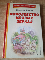 Королевство кривых зеркал. Внеклассное чтение | Губарев Виталий Георгиевич #4, Сергей Д.