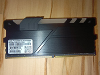 GeIL Оперативная память EVO X II DDR4 3000 Мгц 1x16 ГБ (GEXSB416GB3000C16ASC) #3, Павел П.