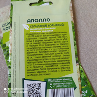 Семена сельдерея корневого Аполло SEMINIS, 3 пакета, (0,05 г семян в одном пакете), Голландия #33, Guli@