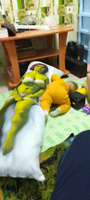 Дакимакура подушка длинная для обнимашек с принтом Фиона Shrek Шрек 150х50 см #25, Филипп А.