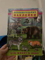 Комплект книг с познавательными наклейками #2, Светлана О.