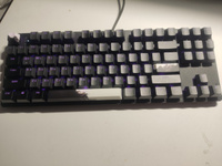 Игровая клавиатура Red Square Keyrox TKL Equinox (RSQ-20035) G3ms Amber Switch черный/белый/серый Русская раскладка USB #85, Никита Ш.